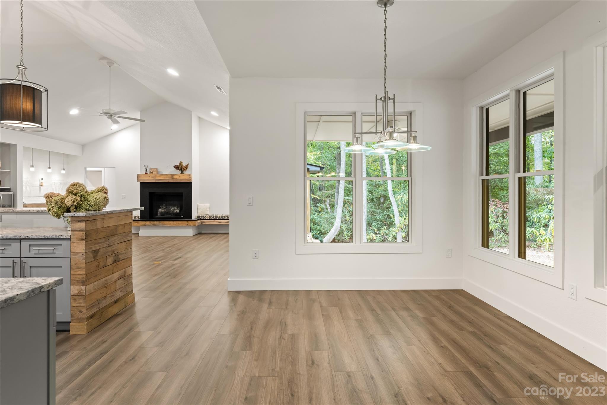 160 N Ridgeview Hill Drive Hendersonville NC 28791