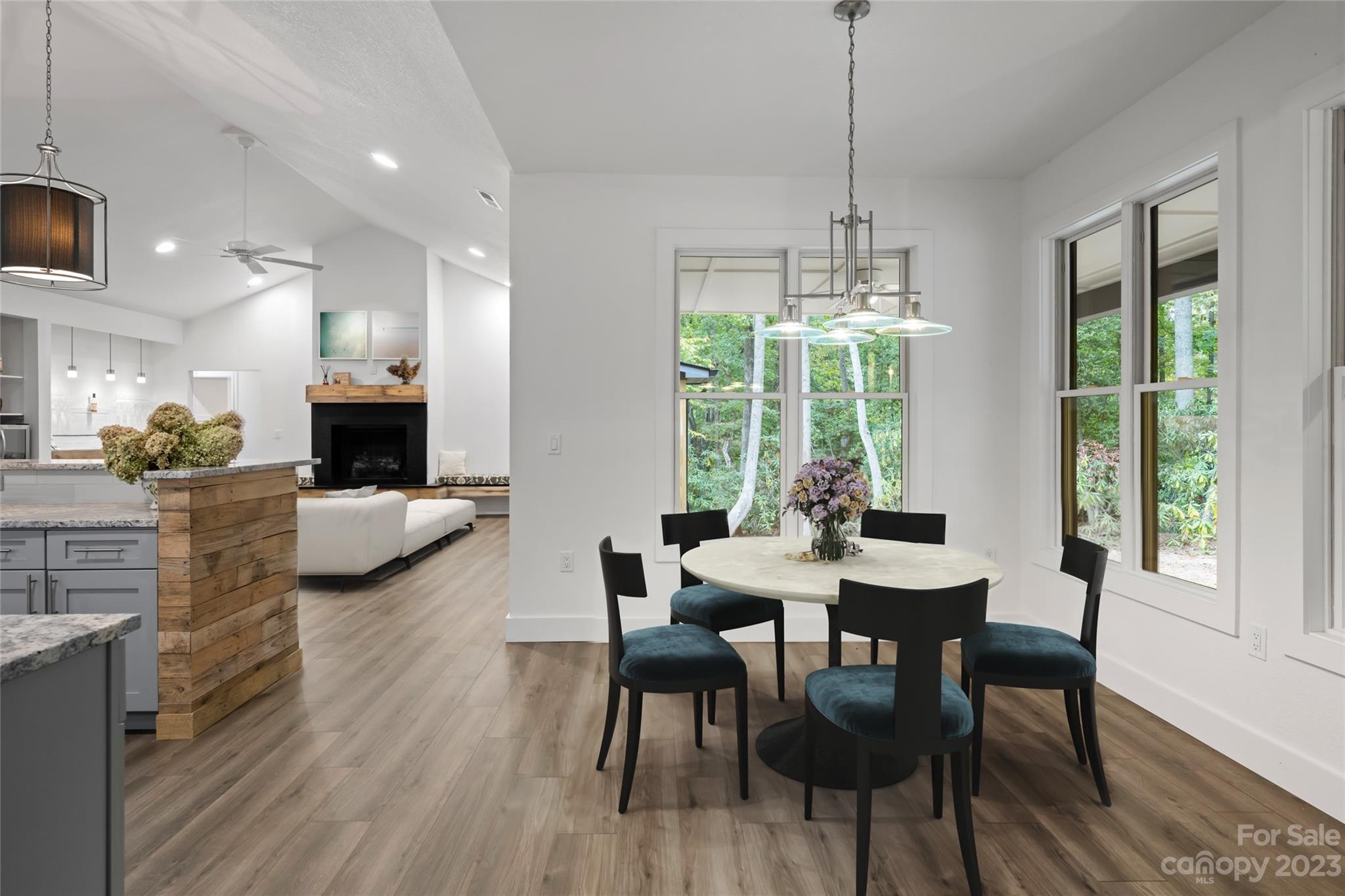 160 N Ridgeview Hill Drive Hendersonville NC 28791
