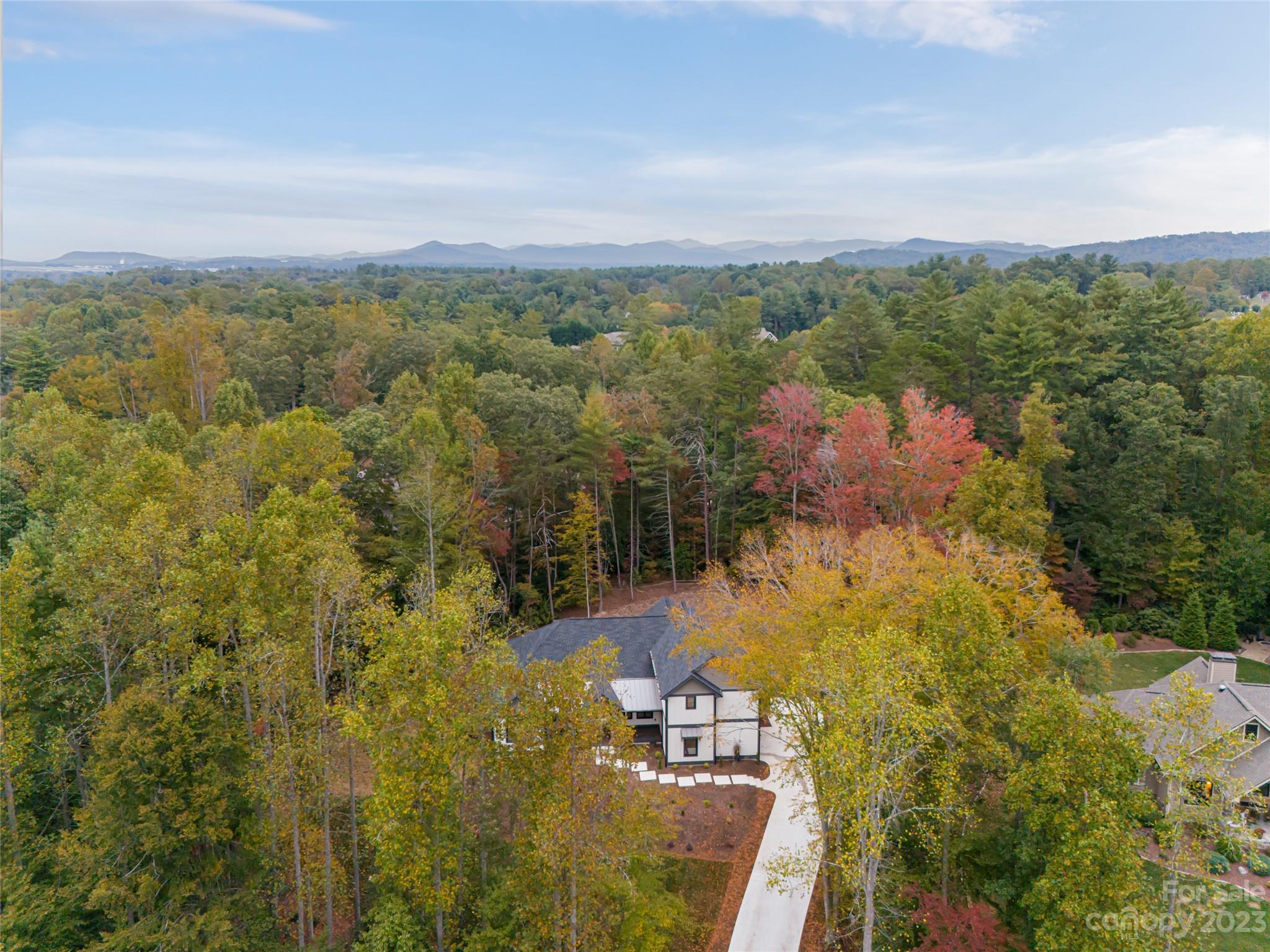 160 N Ridgeview Hill Drive Hendersonville NC 28791