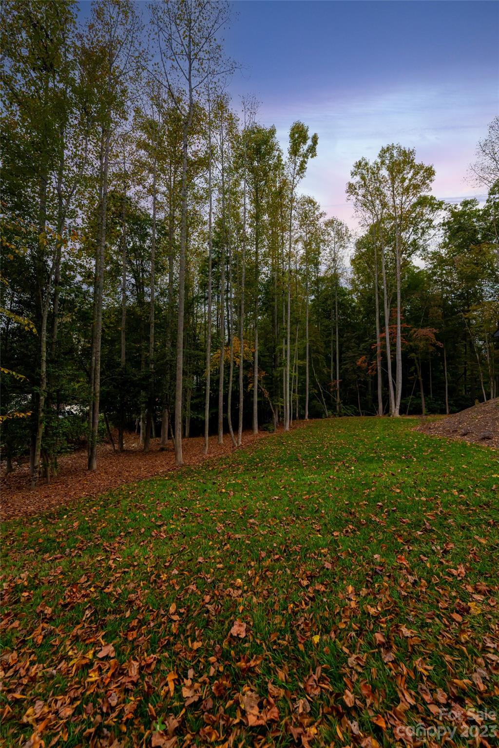 160 N Ridgeview Hill Drive Hendersonville NC 28791