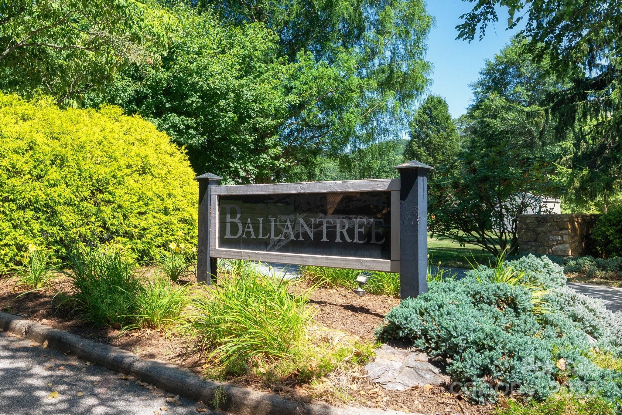 58 Braddock Way Asheville NC 28803