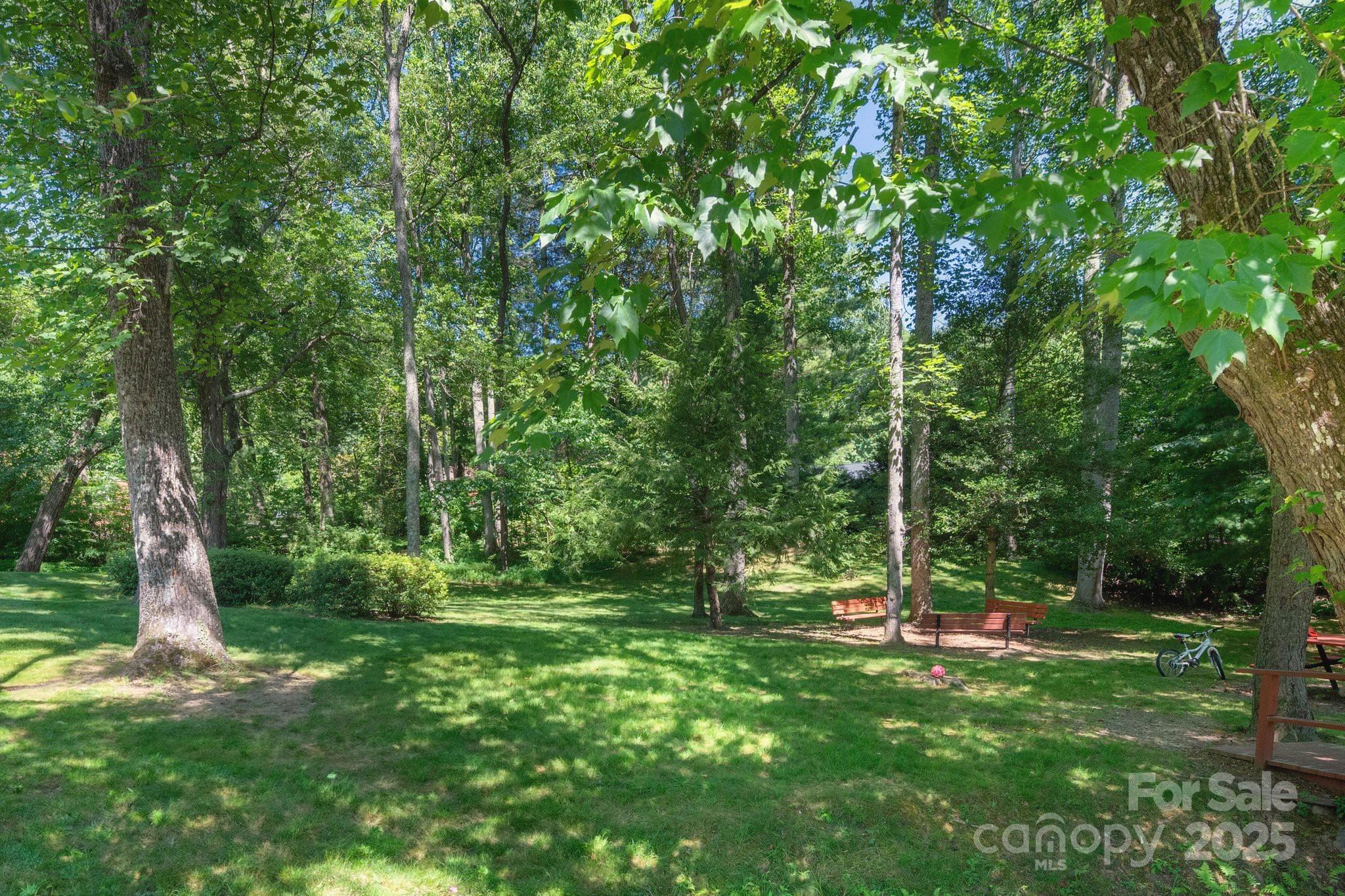 58 Braddock Way Asheville NC 28803