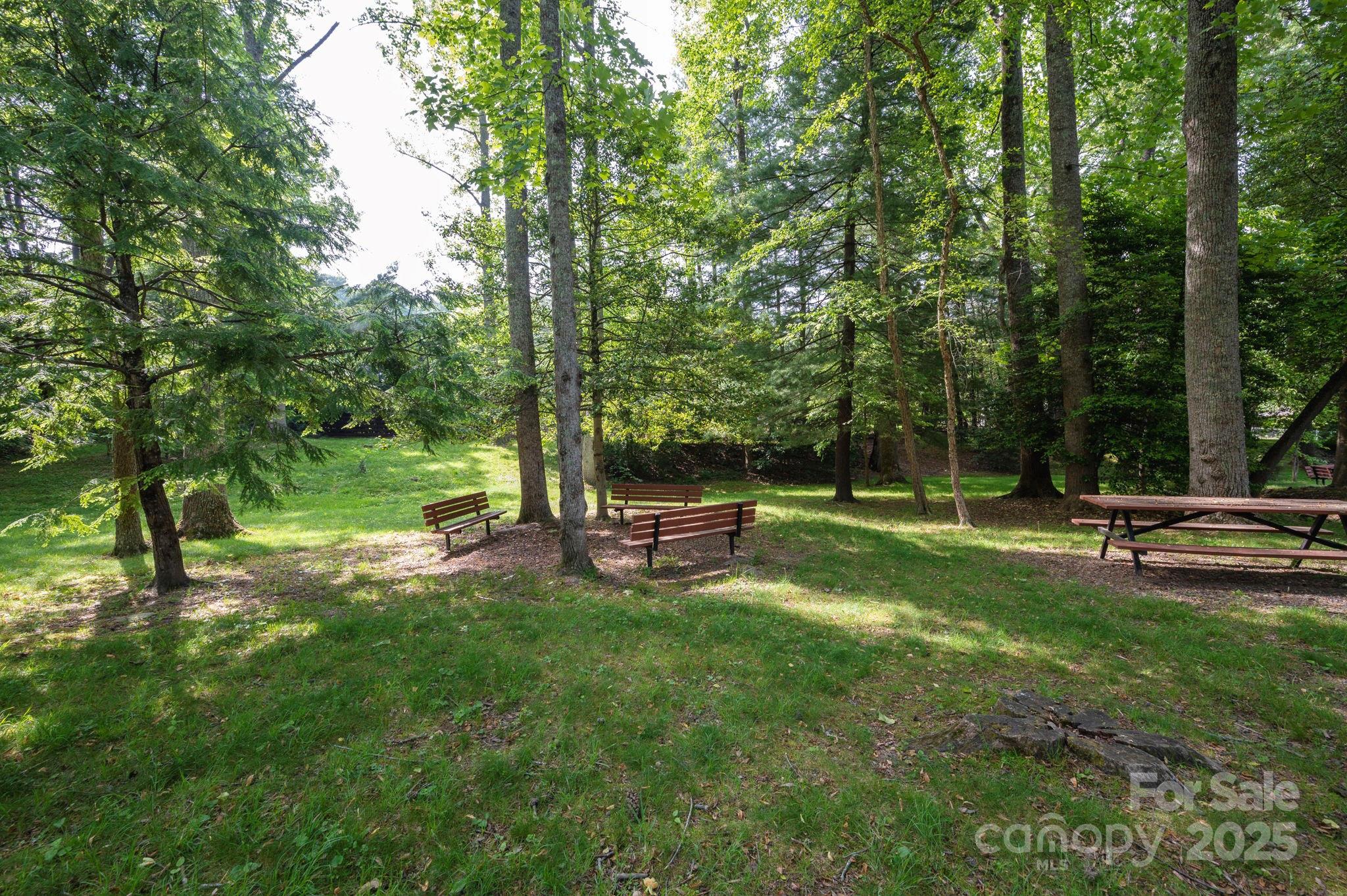 58 Braddock Way Asheville NC 28803