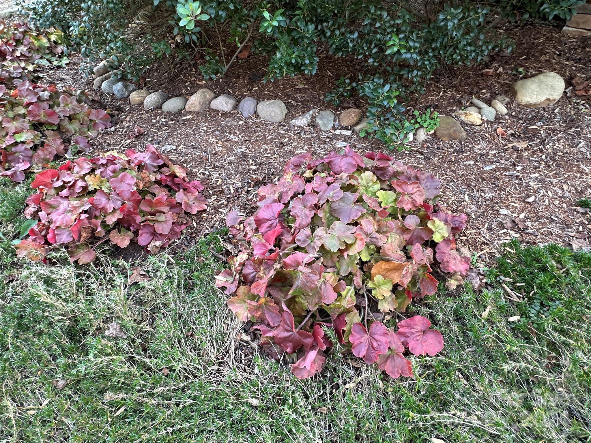 42 Destination Drive Asheville NC 28806