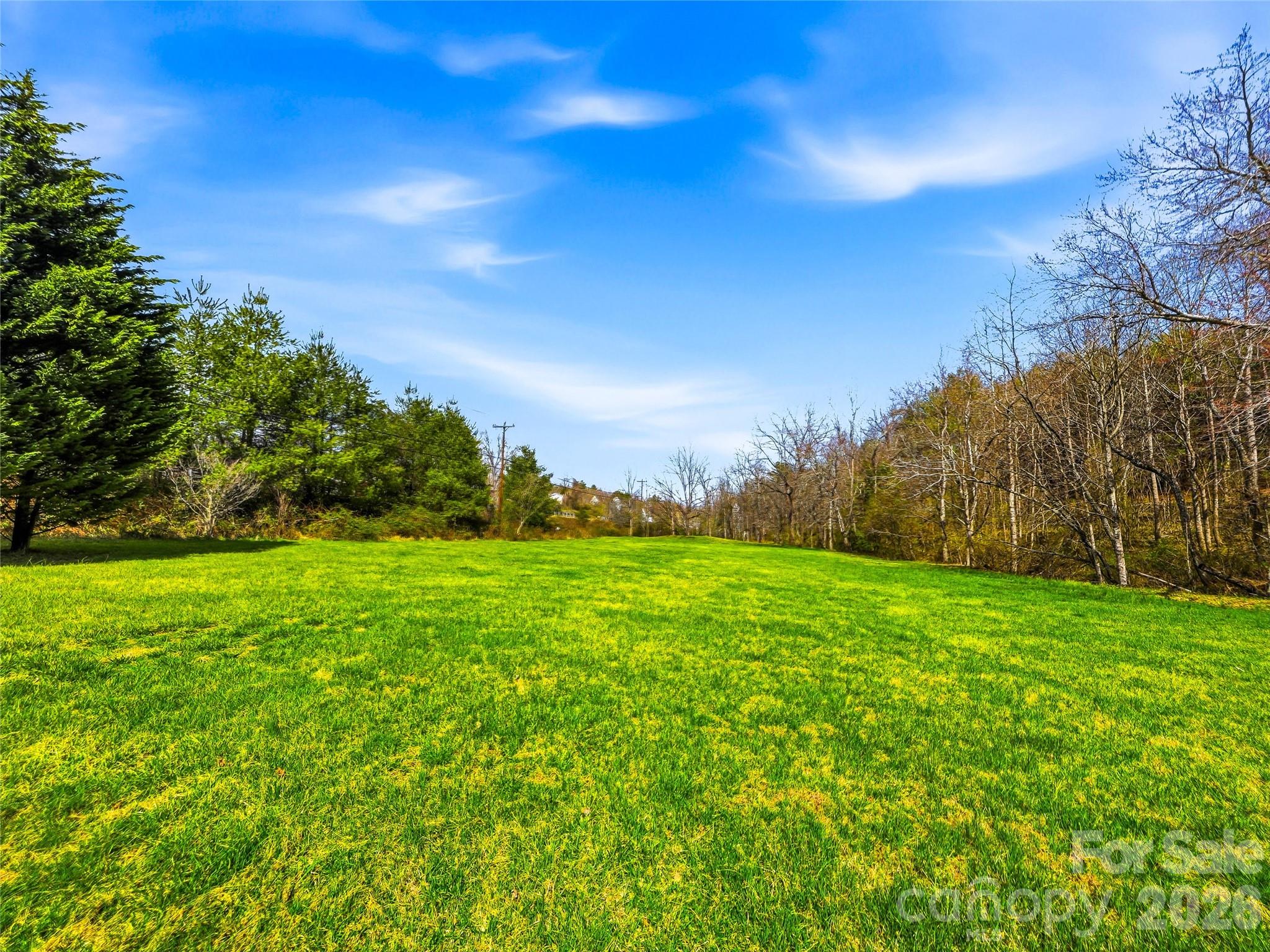 61 Rolling Hills Road Mills River NC 28759