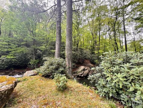 120 Assembly Drive Montreat NC 28757
