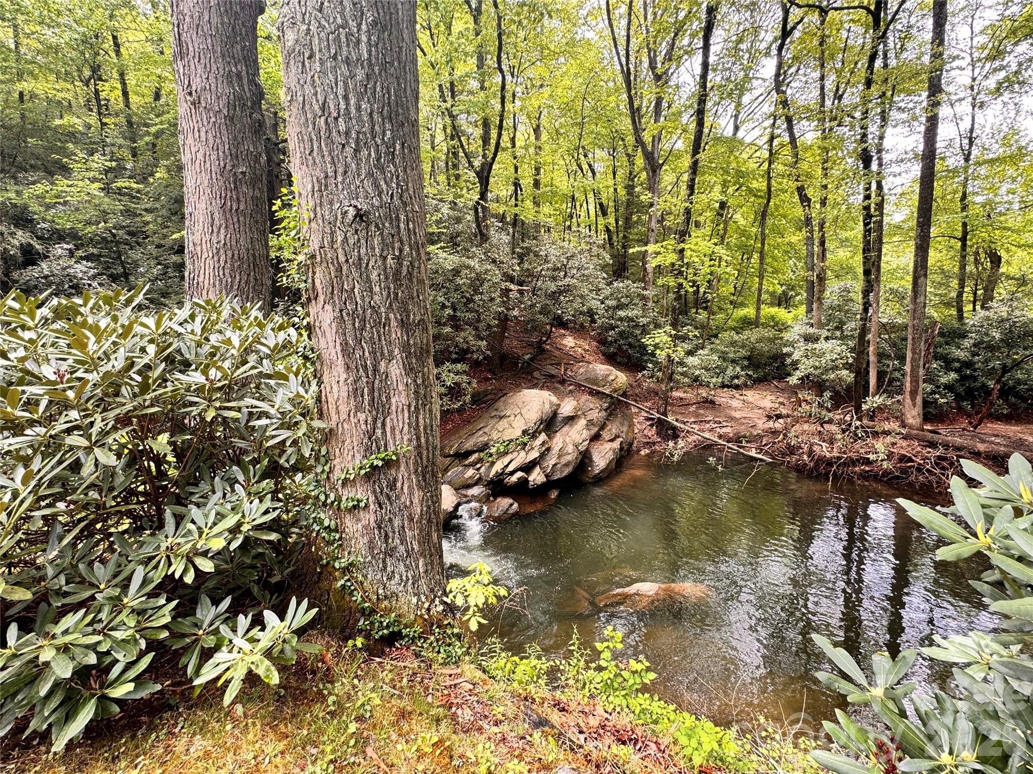120 Assembly Drive Montreat NC 28757