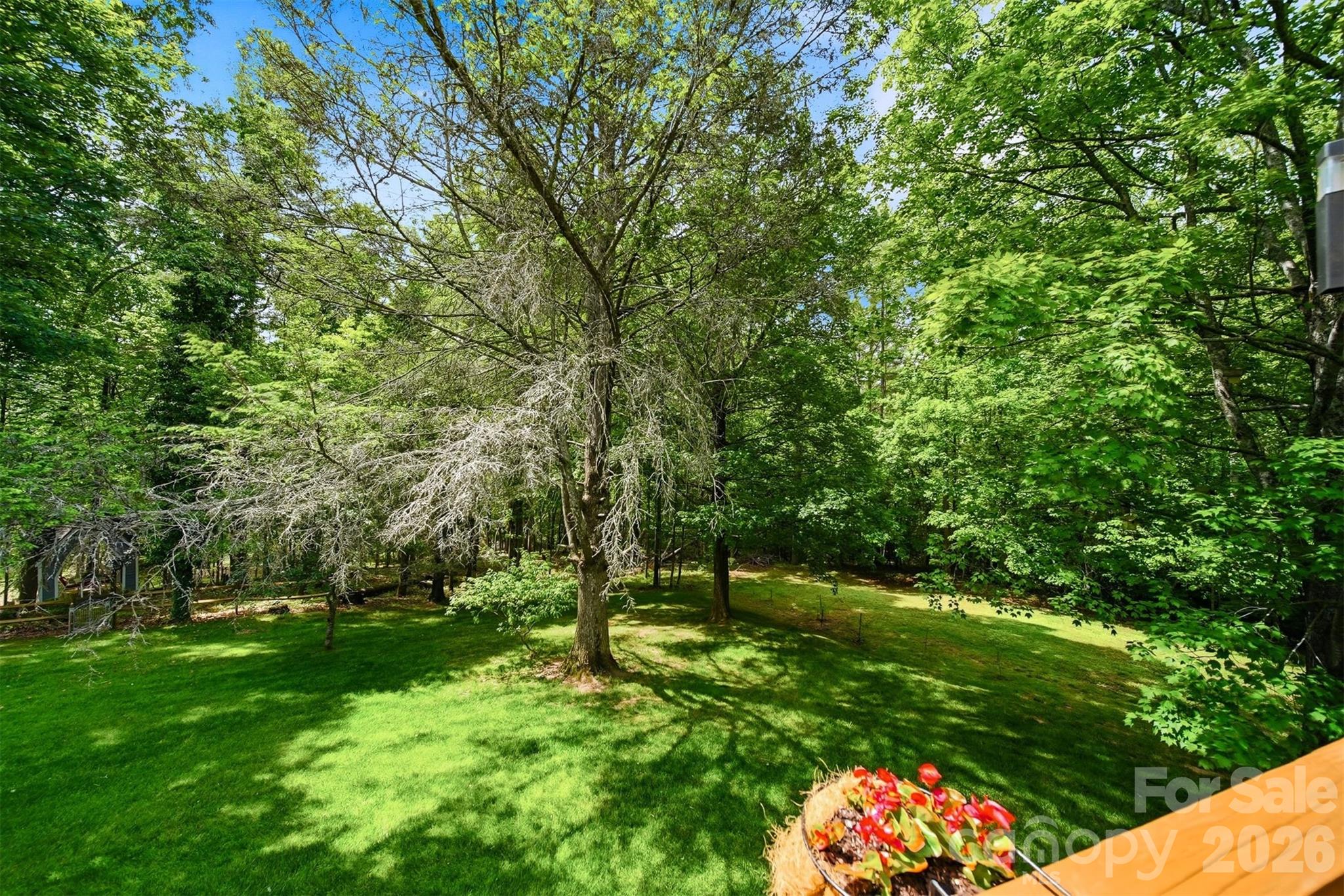3497 Blue Creek Road Lenoir NC 28645