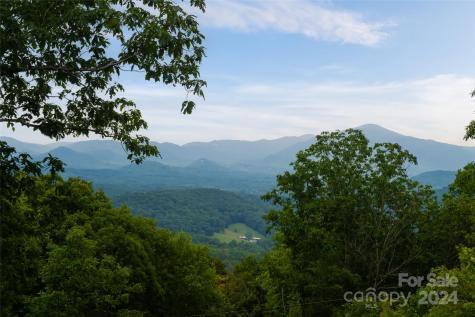 219 Lambeth Walk Fairview NC 28730