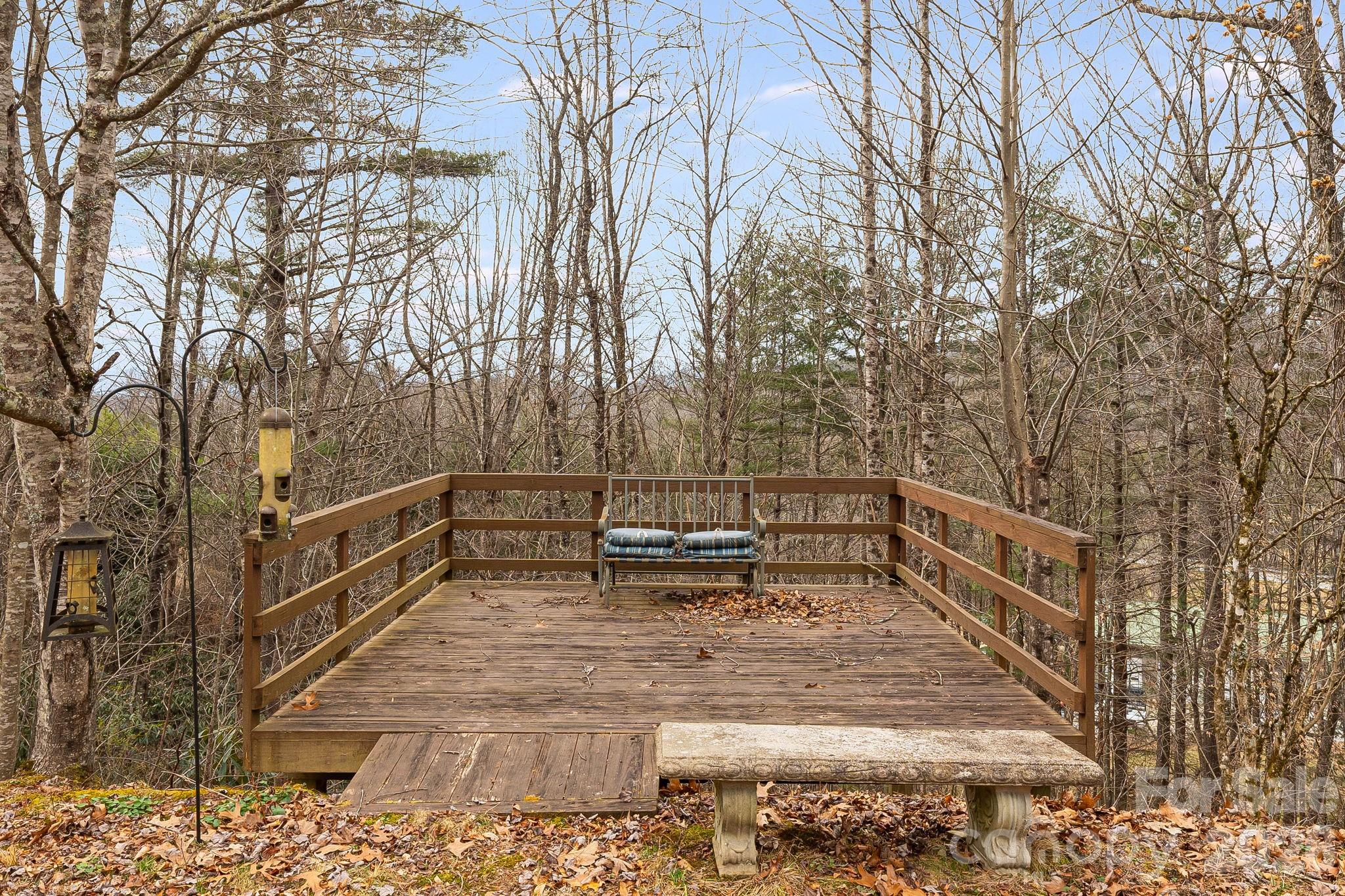 106 Avian Court Brevard NC 28712
