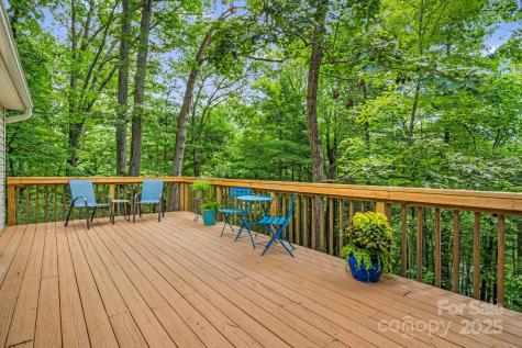 12 New Cross South Asheville NC 28805