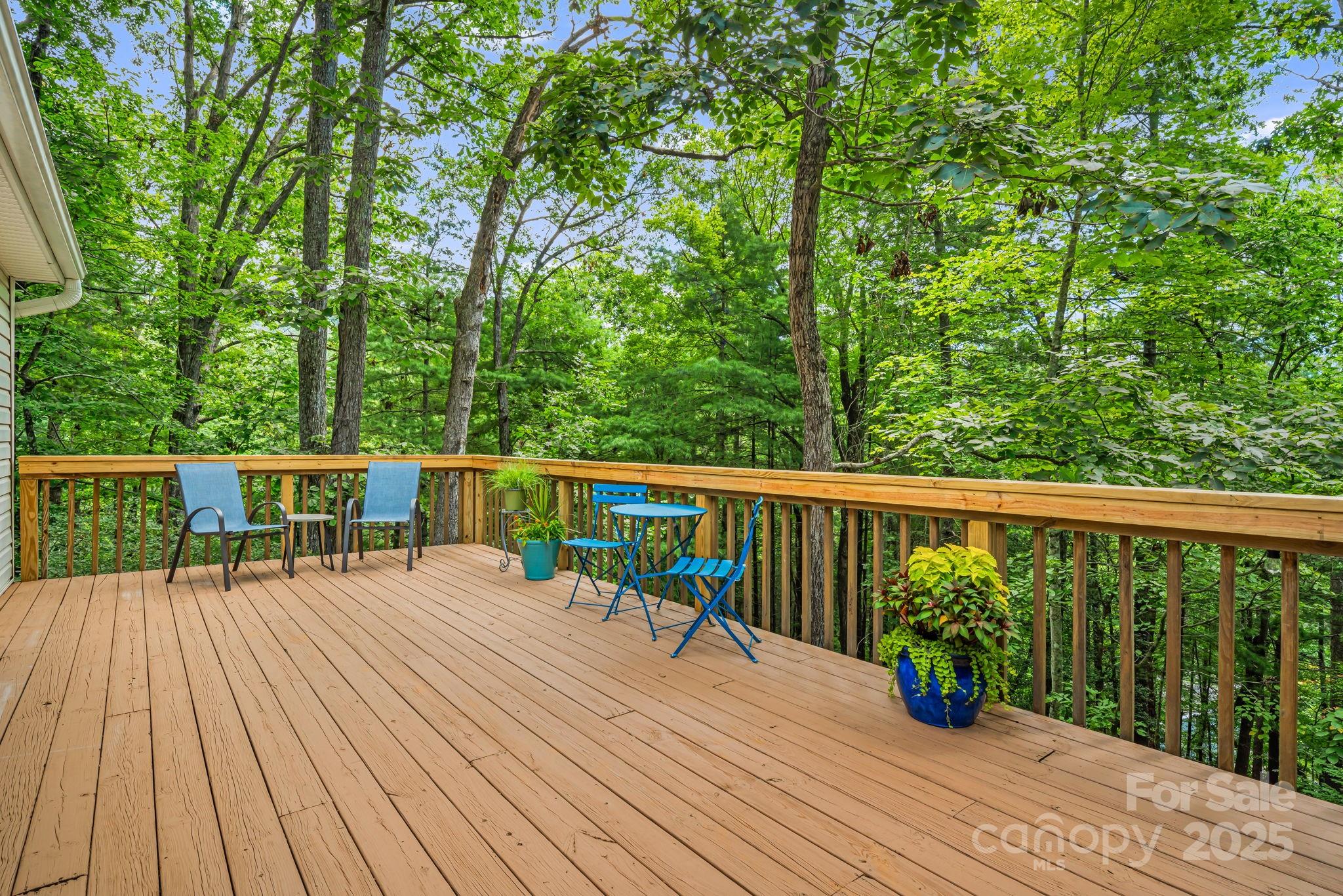 12 New Cross South Asheville NC 28805