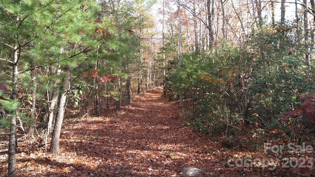 180 Ruff Lock Trace Marion NC 28752