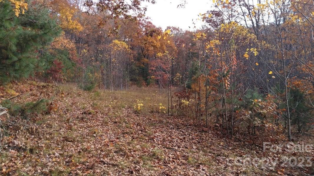 180 Ruff Lock Trace Marion NC 28752
