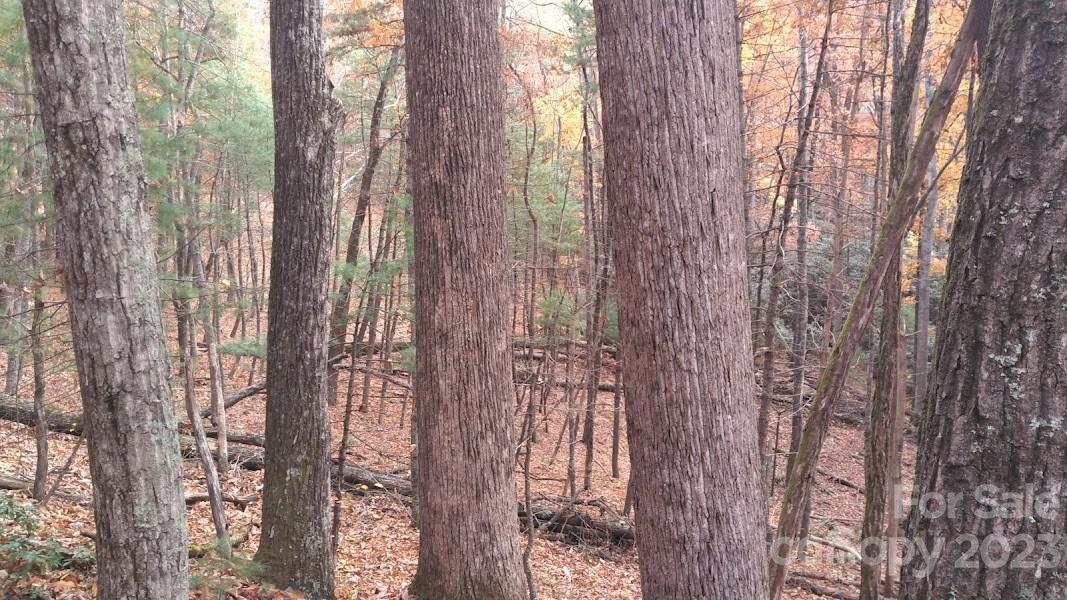 180 Ruff Lock Trace Marion NC 28752