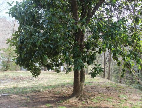 55 Celestial Lane Whittier NC 28789