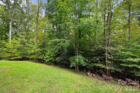 4237 Little Fork Cove Road Denver NC 28037