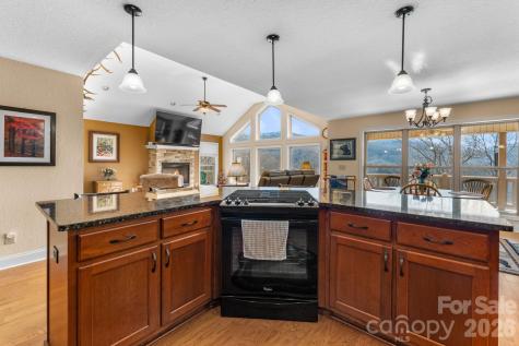 790 Moonlight Trail Bryson City NC 28713