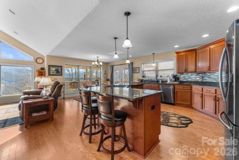 790 Moonlight Trail Bryson City NC 28713