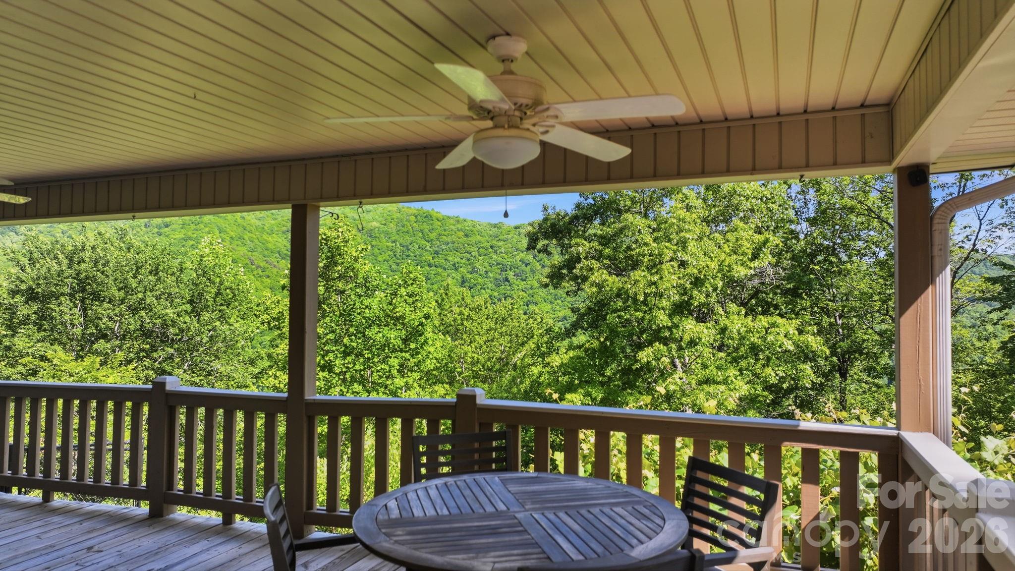 790 Moonlight Trail Bryson City NC 28713