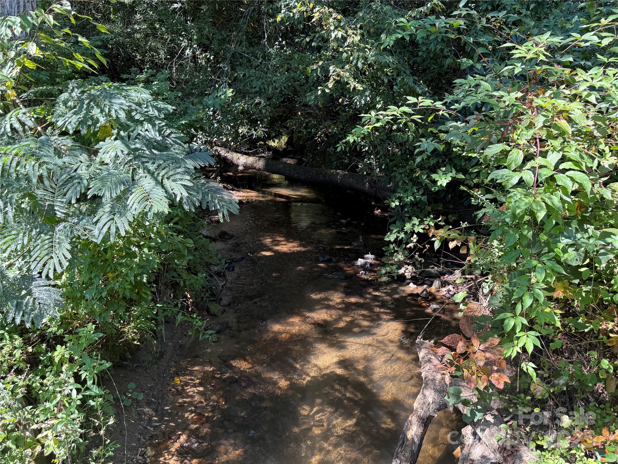 516 Averys Creek Road Arden NC 28704