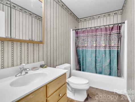 39 Millard Cove Road Leicester NC 28748