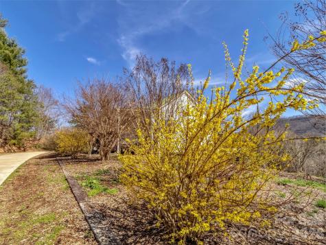 39 Millard Cove Road Leicester NC 28748