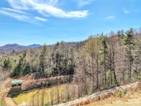 39 Millard Cove Road Leicester NC 28748