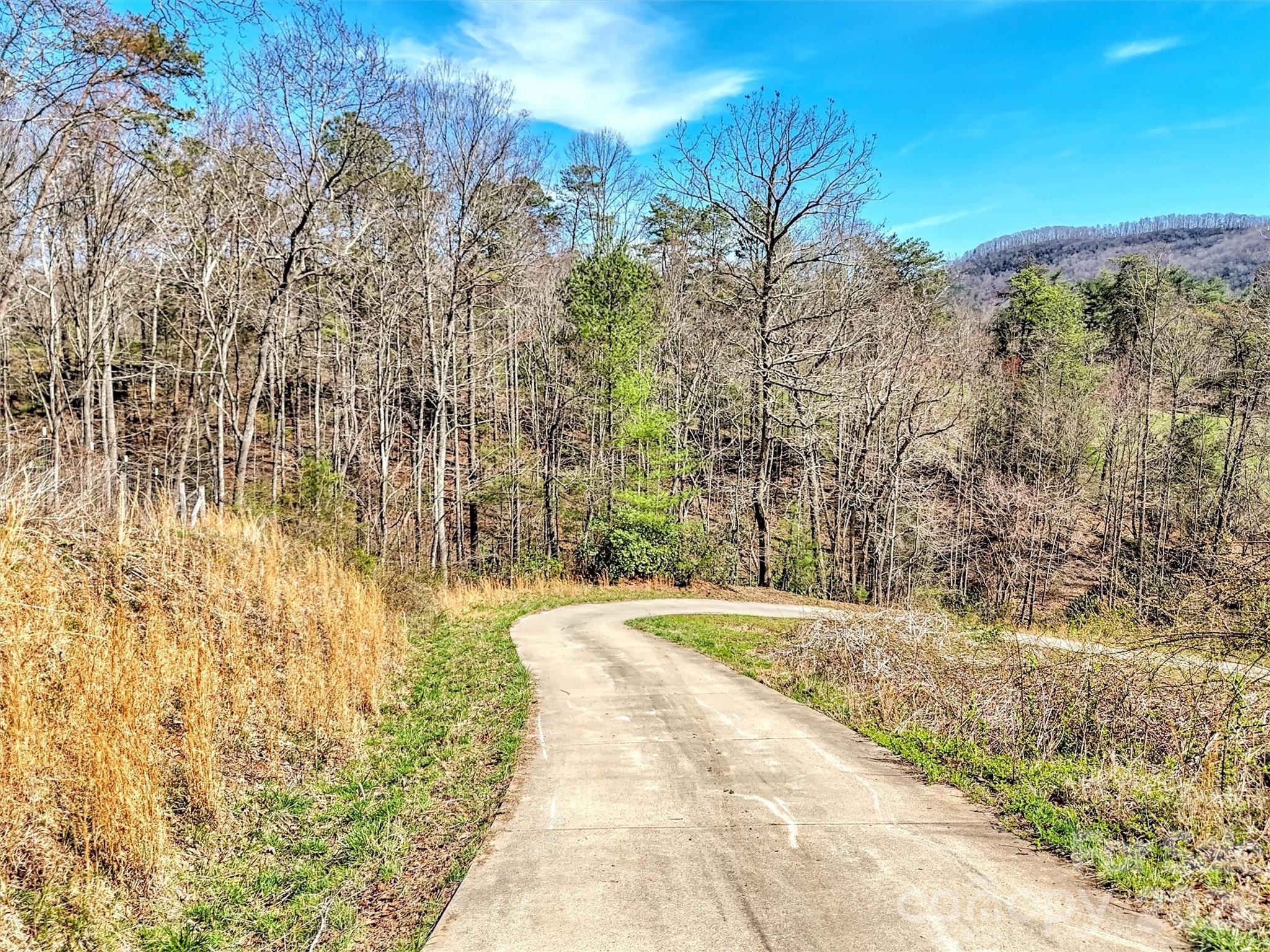 39 Millard Cove Road Leicester NC 28748