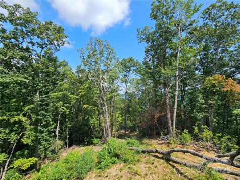 266 Potomac Falls Drive Black Mountain NC 28711