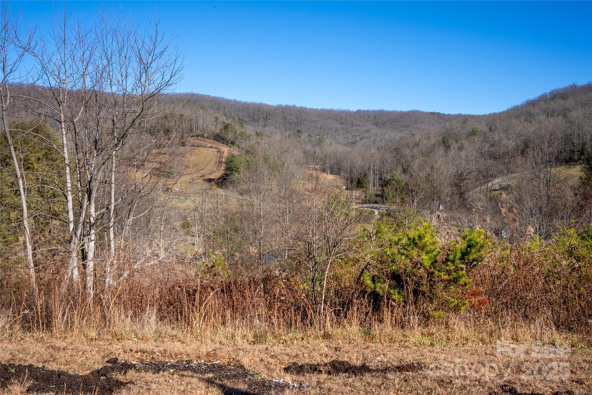 33 N Shadow Run Balsam Grove NC 28708