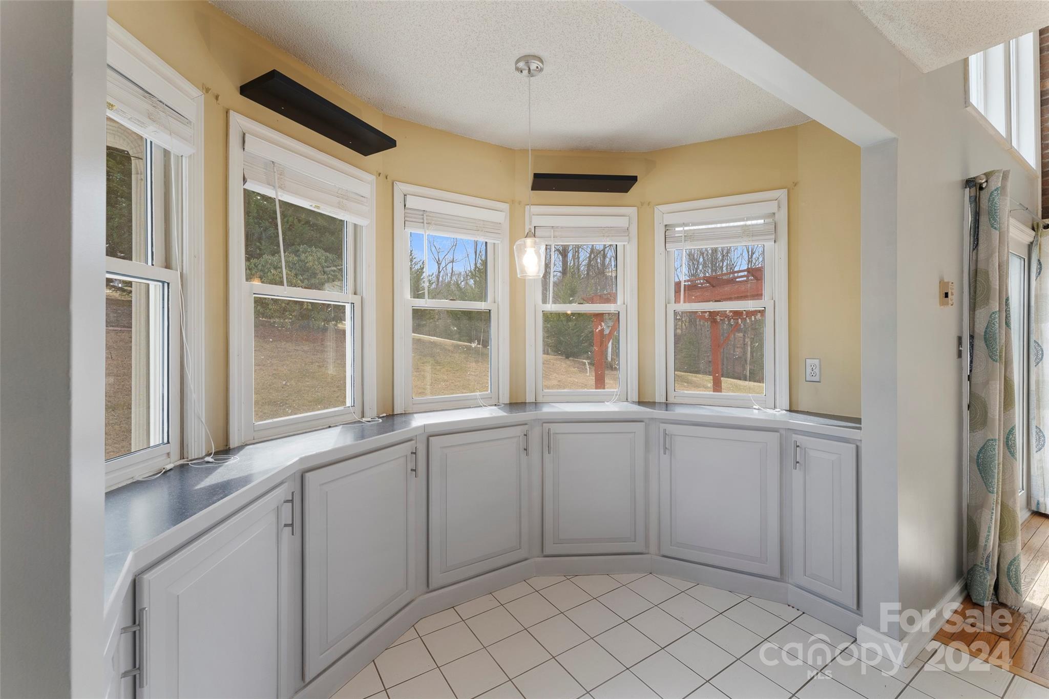 43 Tony Candler Court Candler NC 28715