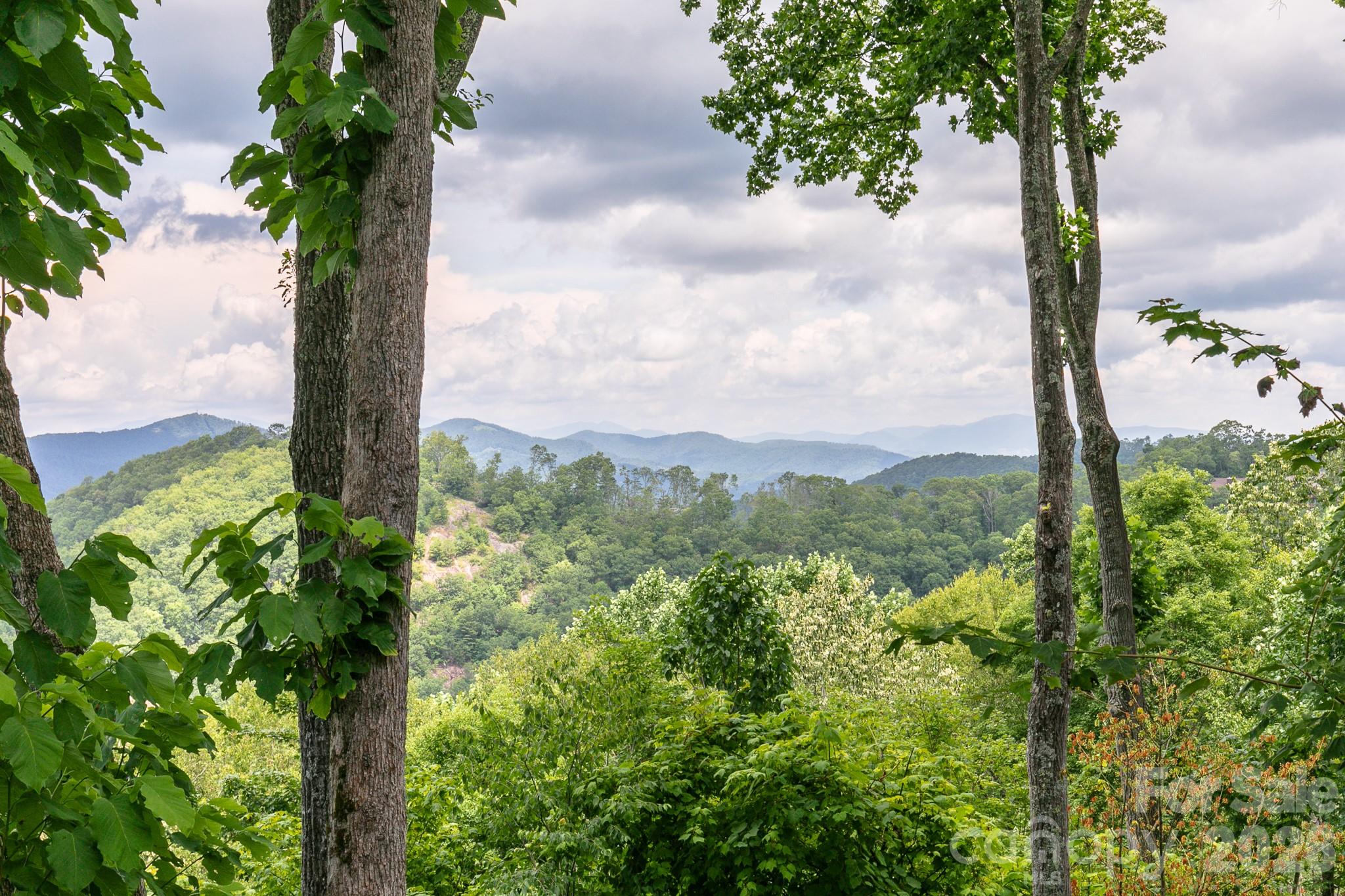 456 Spring House Drive Burnsville NC 28714