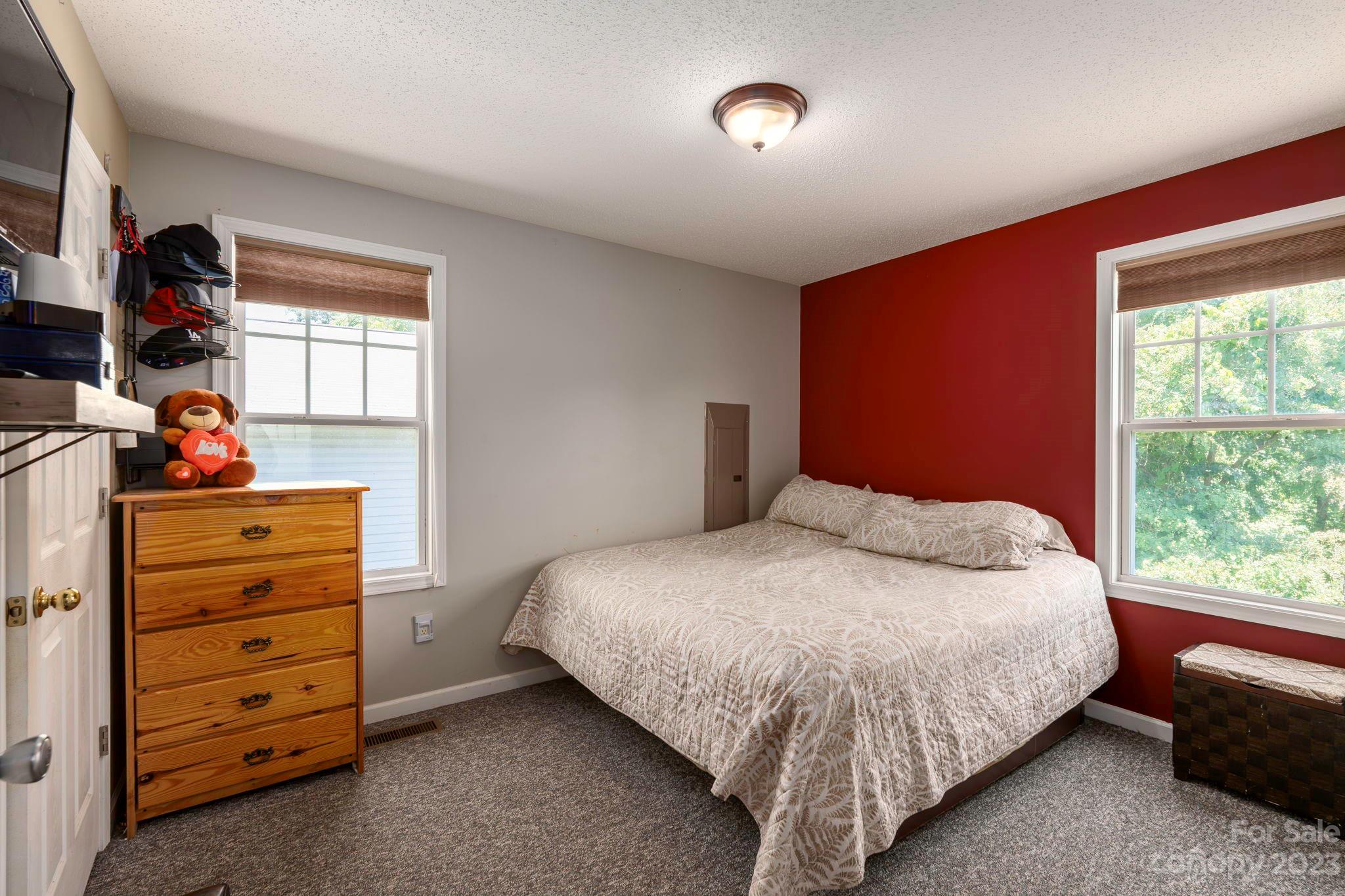 9 Trellis Court Asheville NC 28806