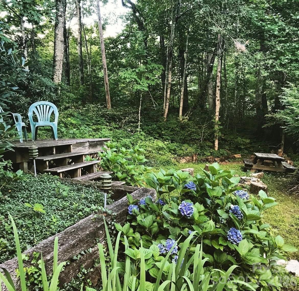 1359 Chestnut Grove Road Spruce Pine NC 28777