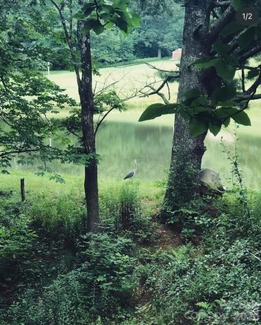 1359 Chestnut Grove Road Spruce Pine NC 28777