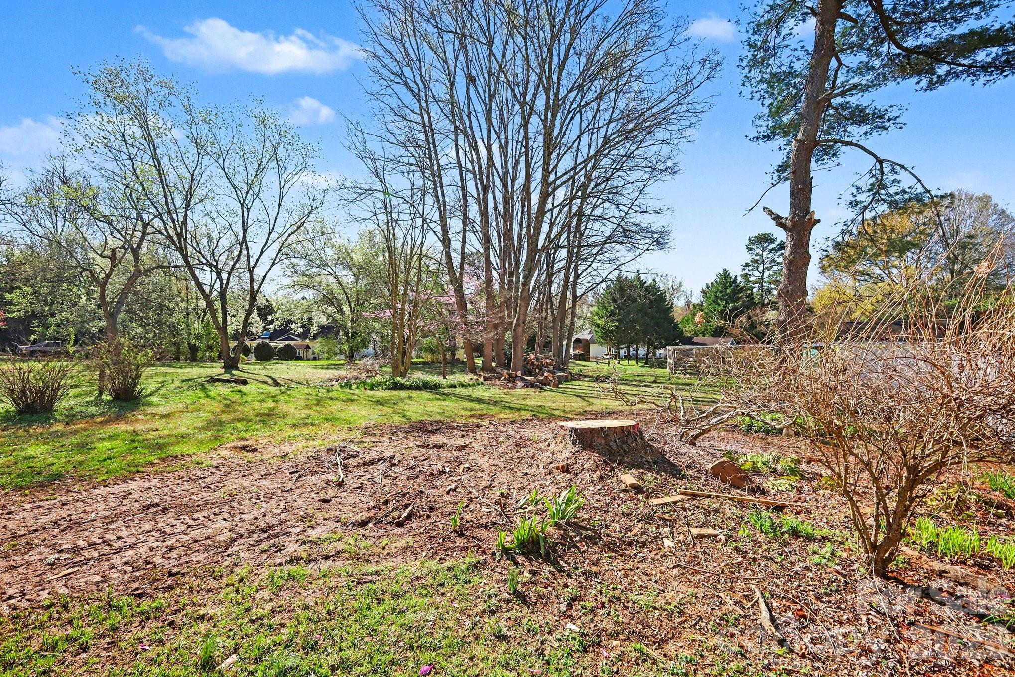 10116 Mountain Apple Drive Mint Hill NC 28227
