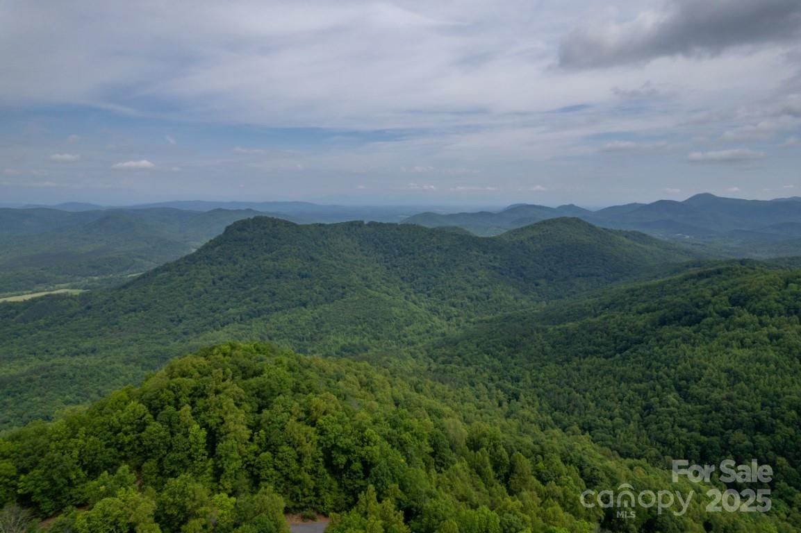 186 Black Ridge Drive Bostic NC 28018