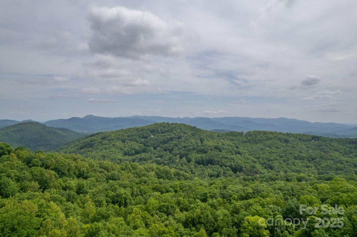 186 Black Ridge Drive Bostic NC 28018
