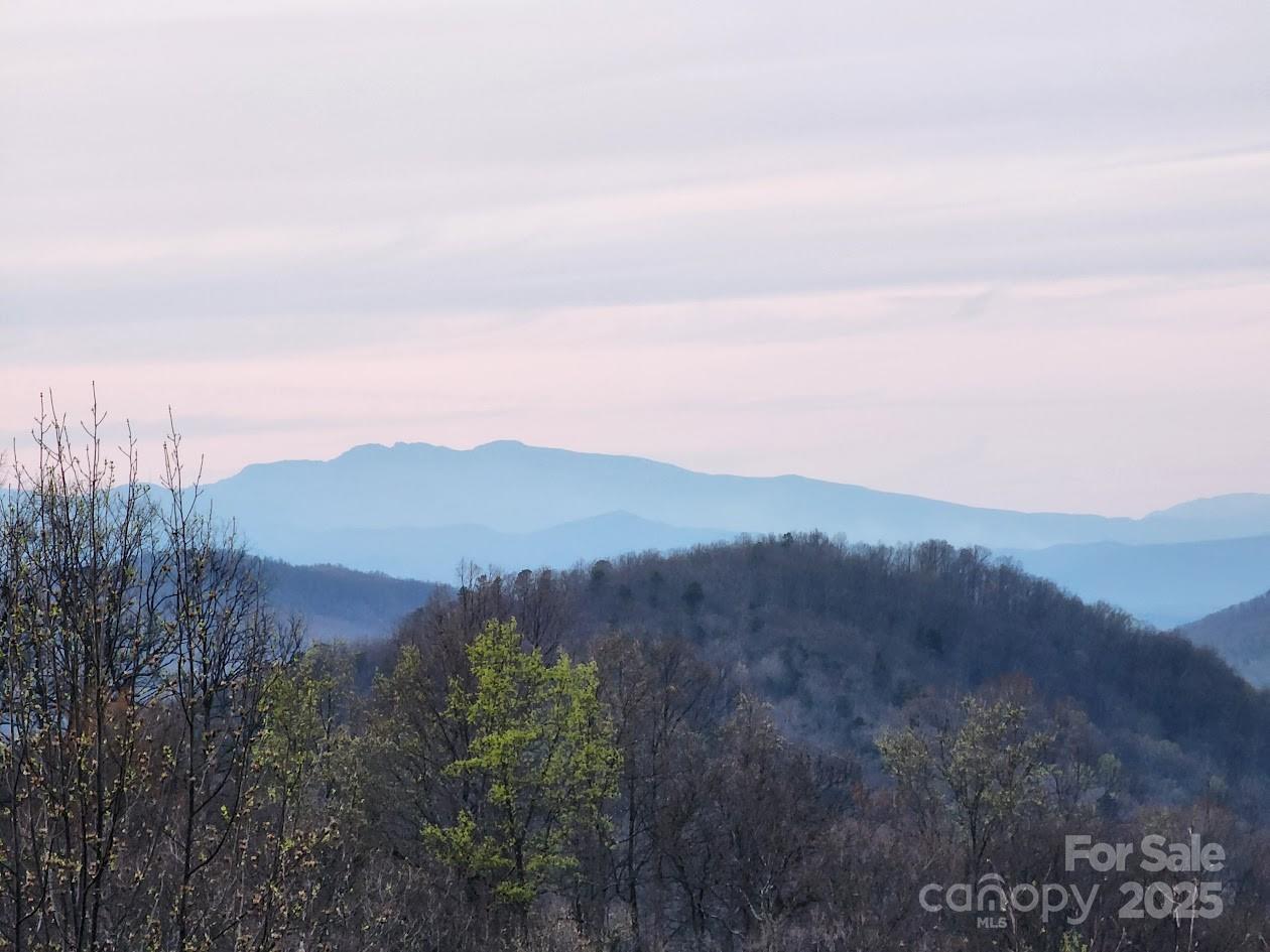 186 Black Ridge Drive Bostic NC 28018