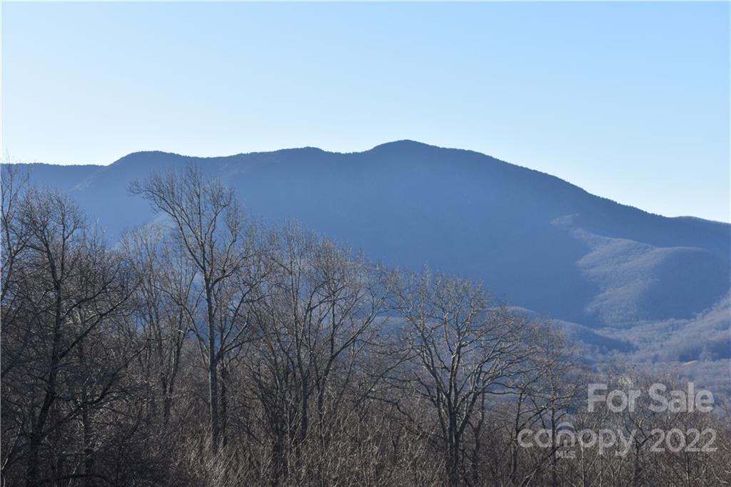 451 Cabbage Patch Road Burnsville NC 28714