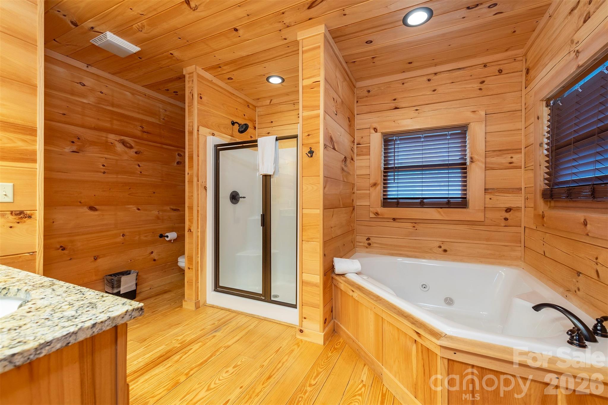 210 S Fork Drive Lake Lure NC 28746
