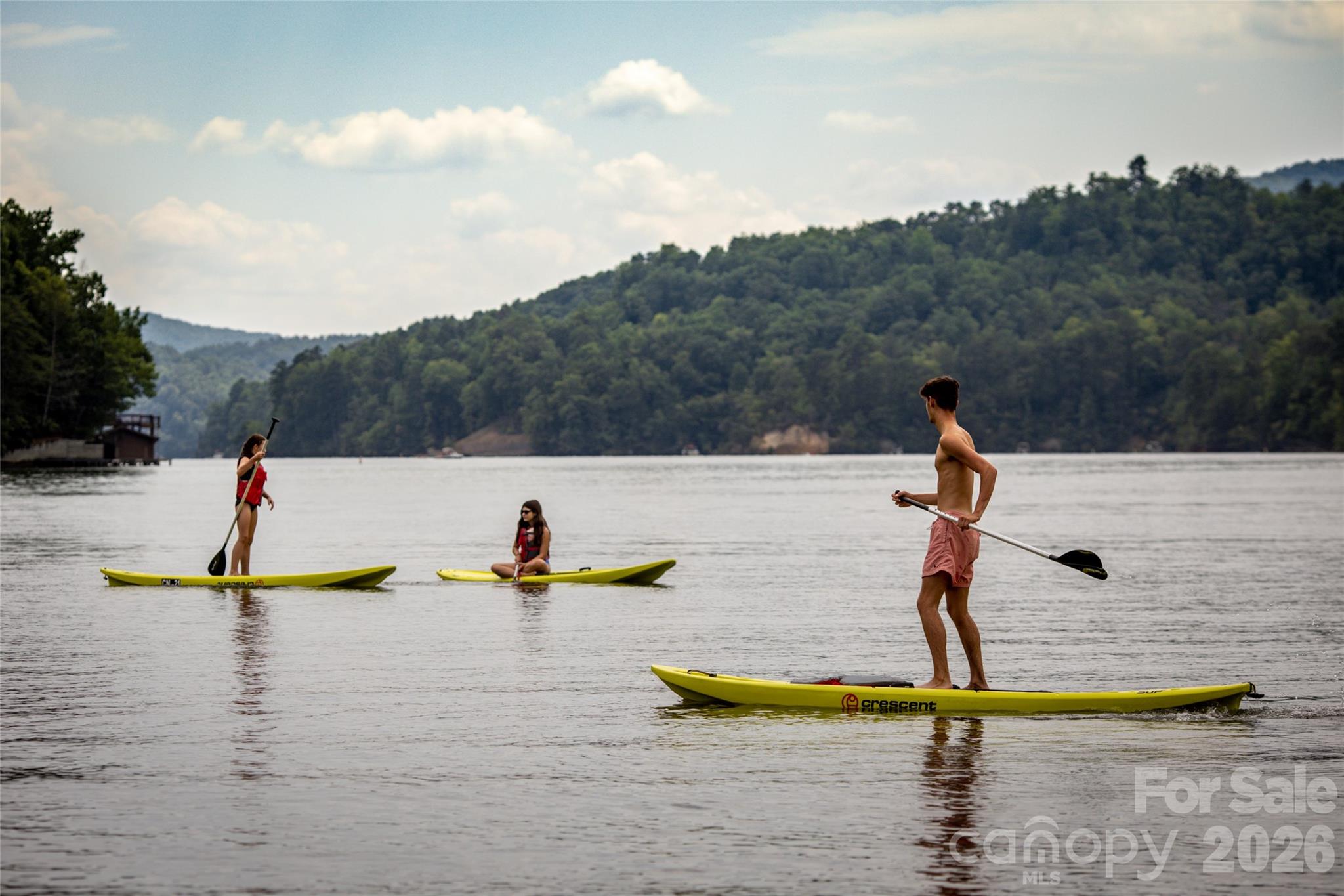 210 S Fork Drive Lake Lure NC 28746