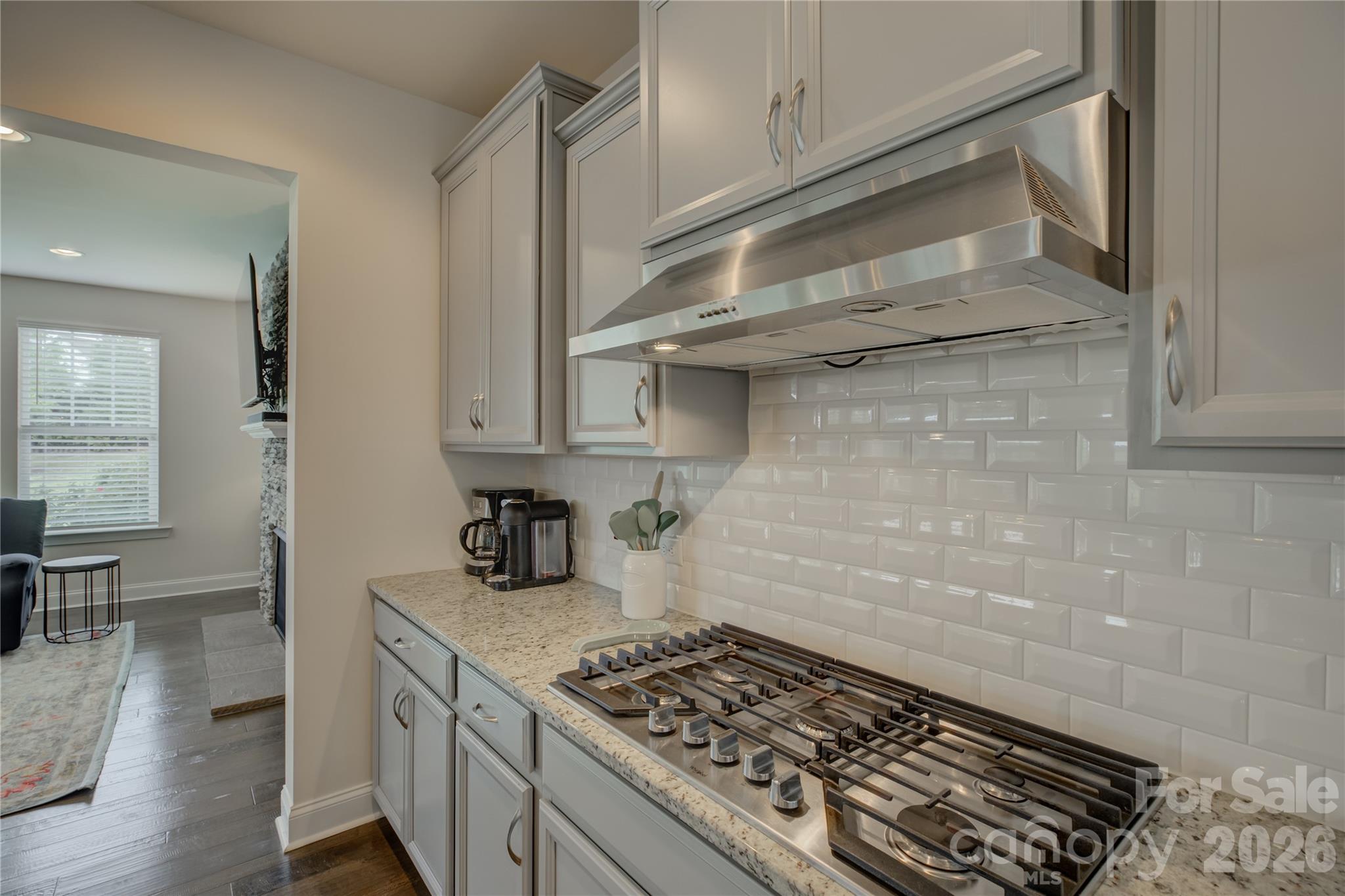 17204 Saranita Lane Charlotte NC 28278