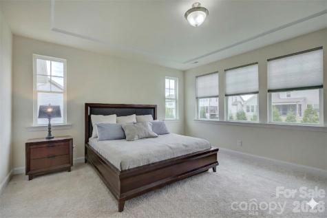 17204 Saranita Lane Charlotte NC 28278