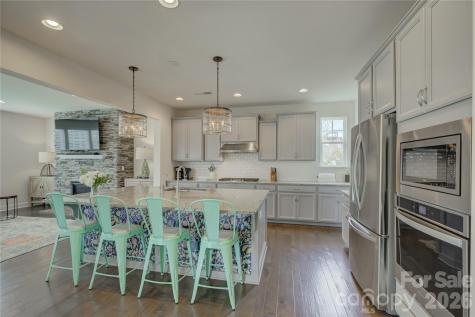 17204 Saranita Lane Charlotte NC 28278