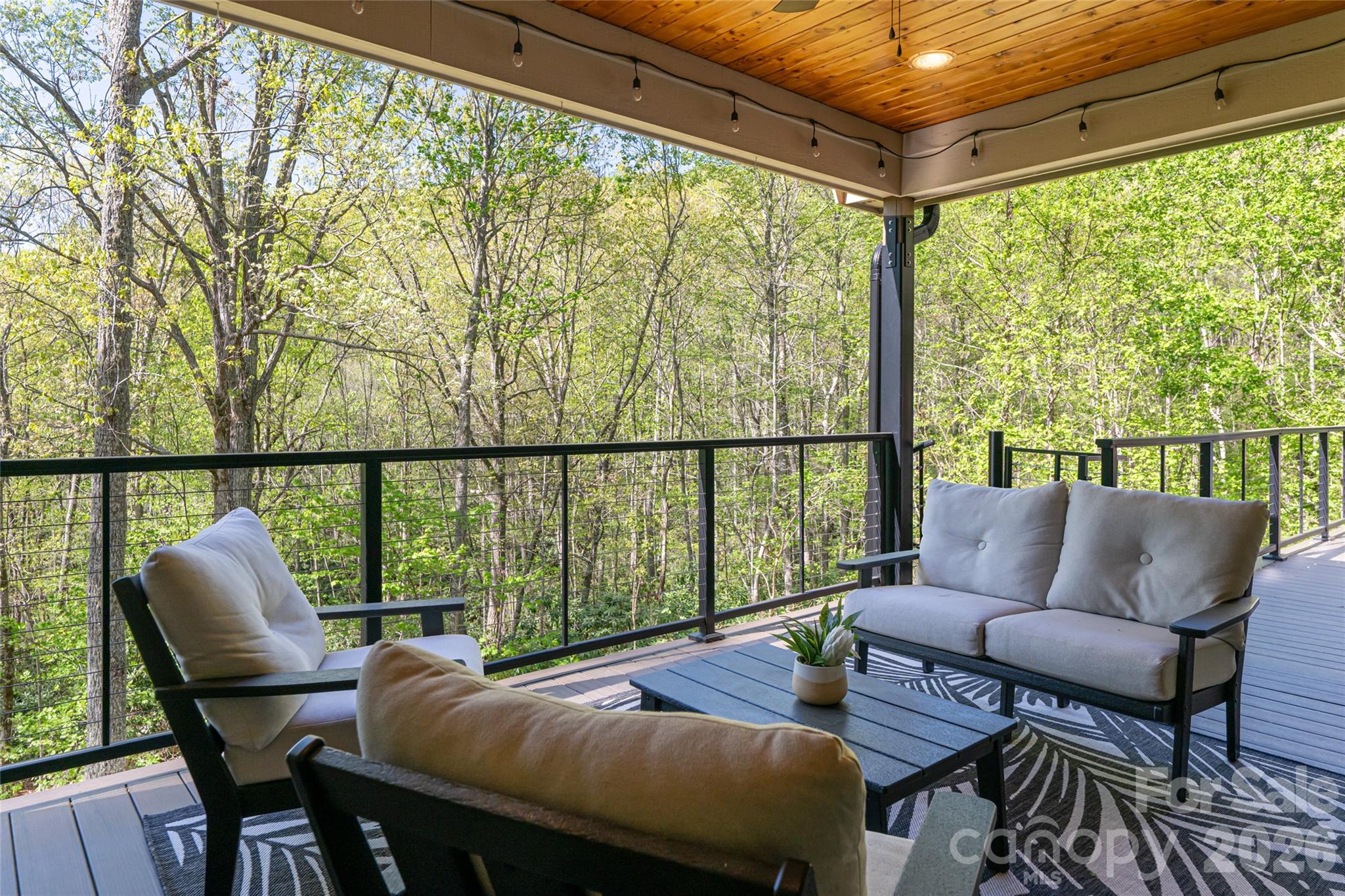 36 Snowshoe Drive Asheville NC 28803