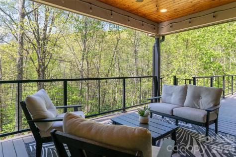 36 Snowshoe Drive Asheville NC 28803
