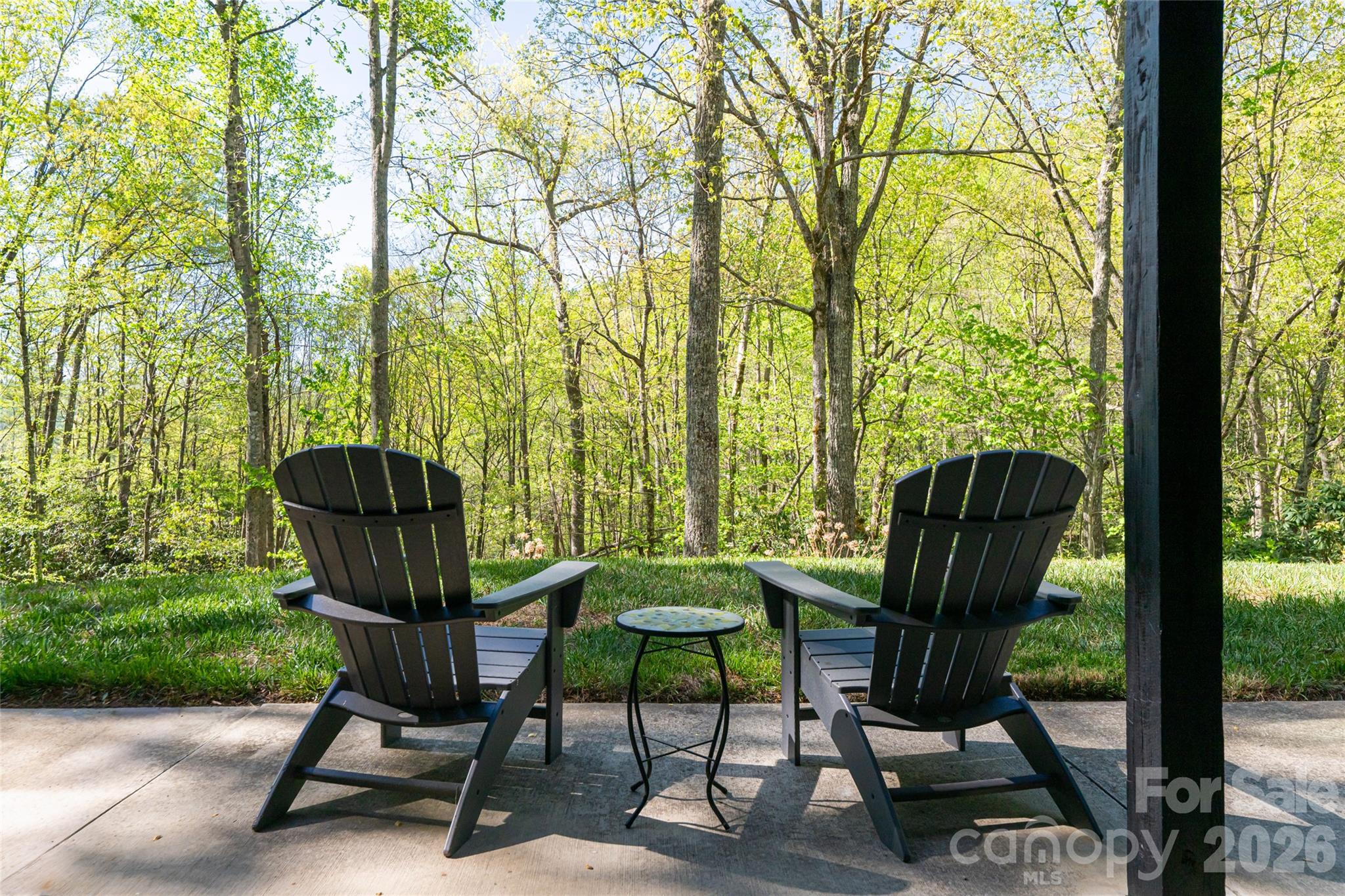 36 Snowshoe Drive Asheville NC 28803