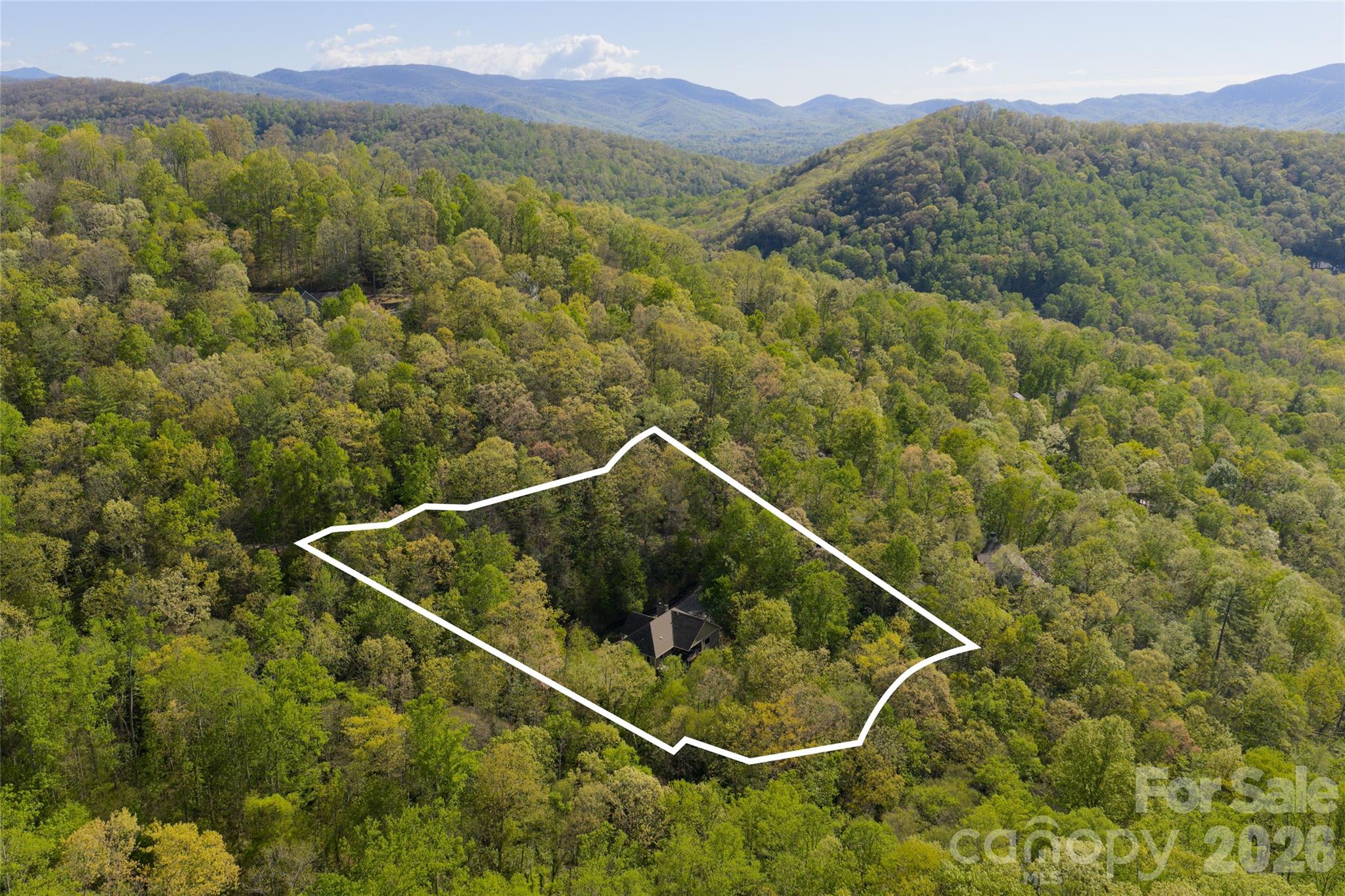 36 Snowshoe Drive Asheville NC 28803